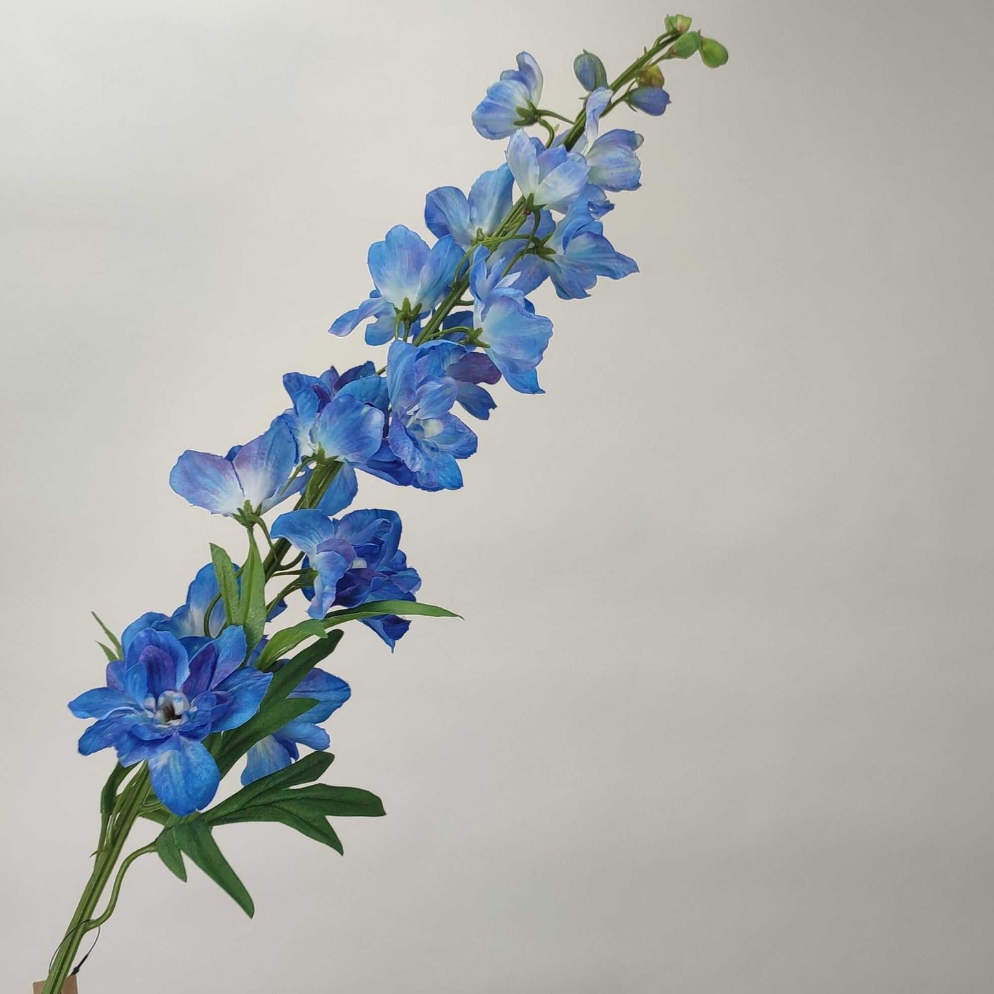 Delphinium Blue 91 cm Single Stems 