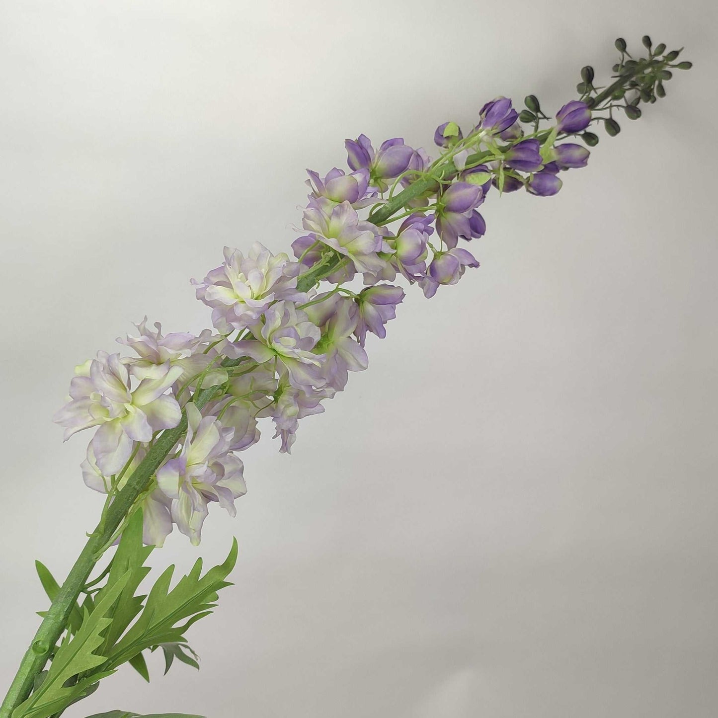 Delphinium Lilac 130 cm Single Stems 